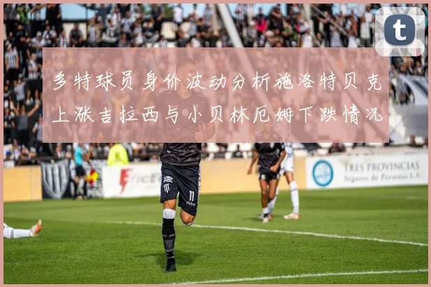 多特球员身价波动分析施洛特贝克上涨吉拉西与小贝林厄姆下跌情况解读