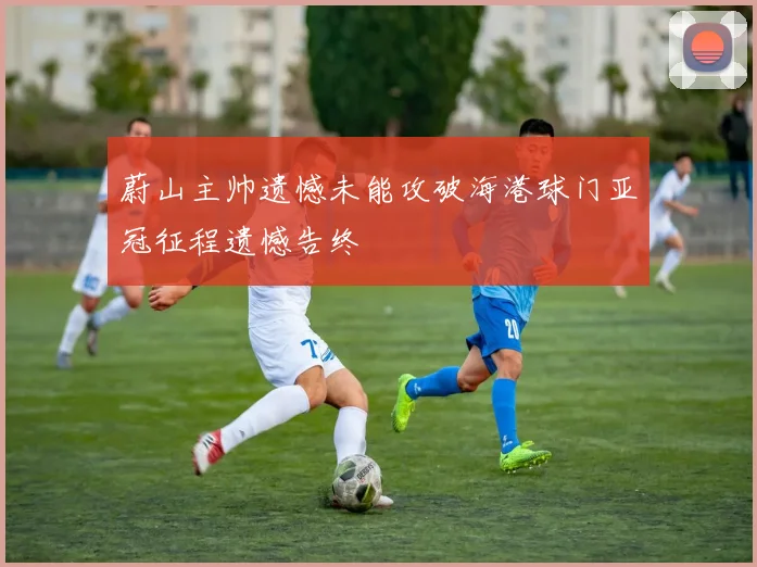蔚山主帅遗憾未能攻破海港球门亚冠征程遗憾告终