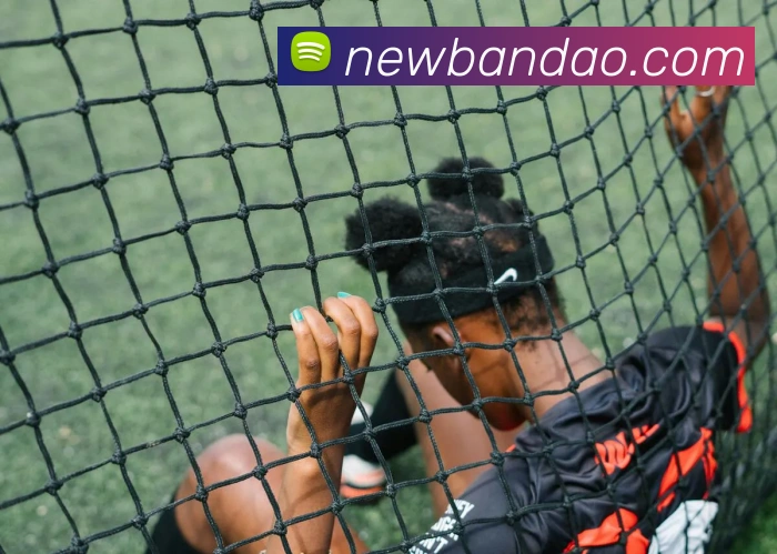 半岛体育APP 封面图