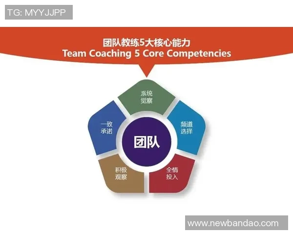 成功的背后是团队的力量每一位成员都是不可或缺的贡献者