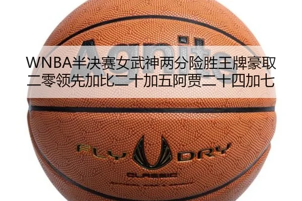 WNBA半决赛女武神两分险胜王牌豪取二零领先加比二十加五阿贾二十四加七 | bandao